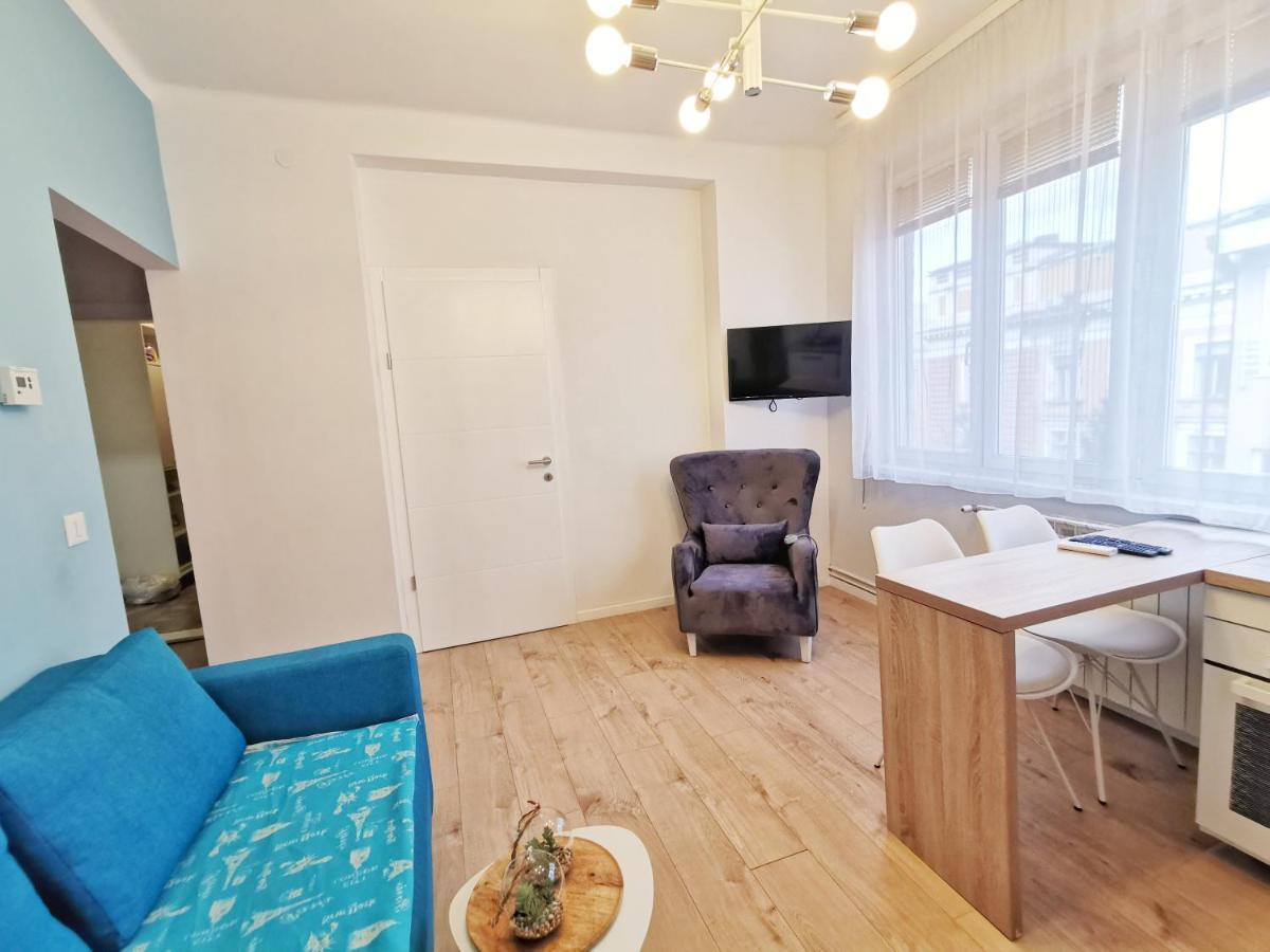 Blue And Rose Cozy - Quiet In The Best Location - Self Check-In - 5Th Floor With Elevator Saraybosna Dış mekan fotoğraf